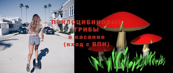 эйфоретик Алексин