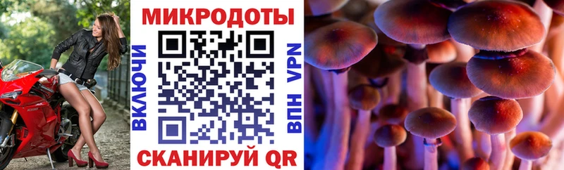 дарк нет как зайти  гидра зеркало  Амурск  Галлюциногенные грибы мицелий 